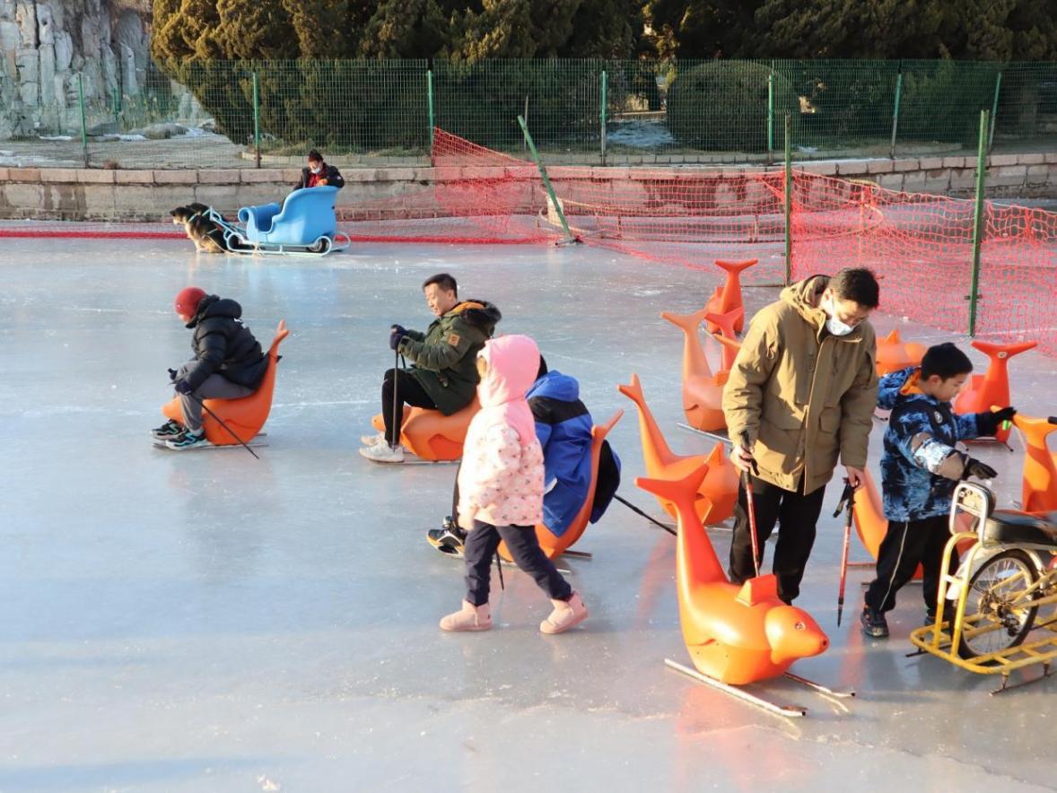 “滑”向新一年!市民龍潭公園樂享雪趣