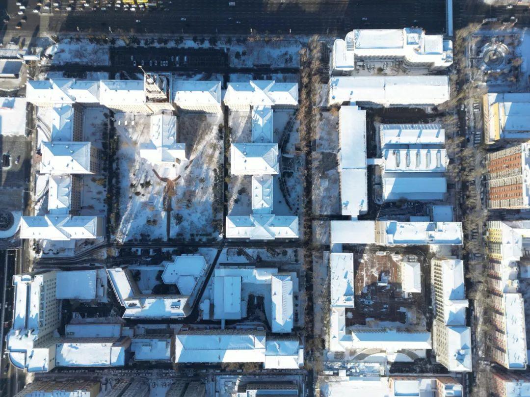 與城市同頻共振:哈爾濱工業(yè)大學向游客送上校園參觀攻略