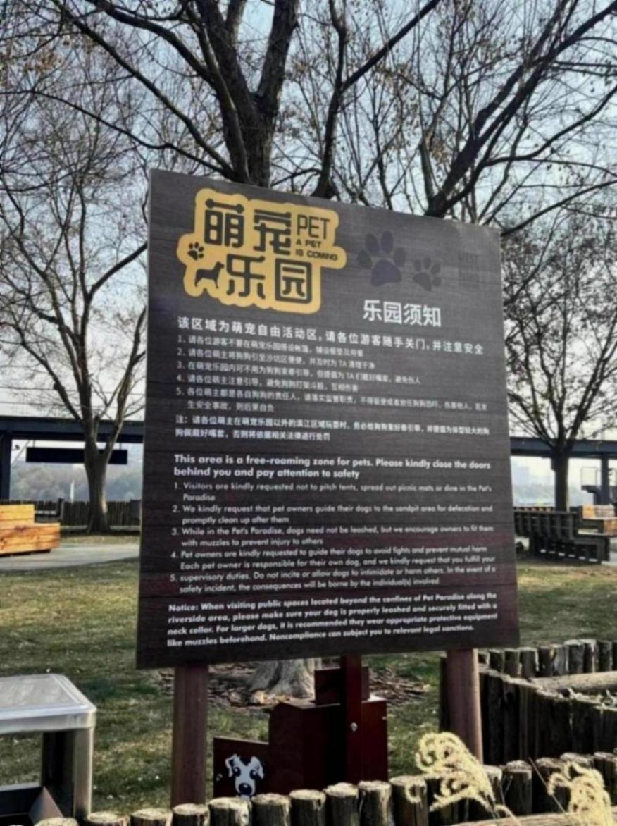 “一江一河”初具寵物友好基礎,將繼續提高濱水公共服務溫度