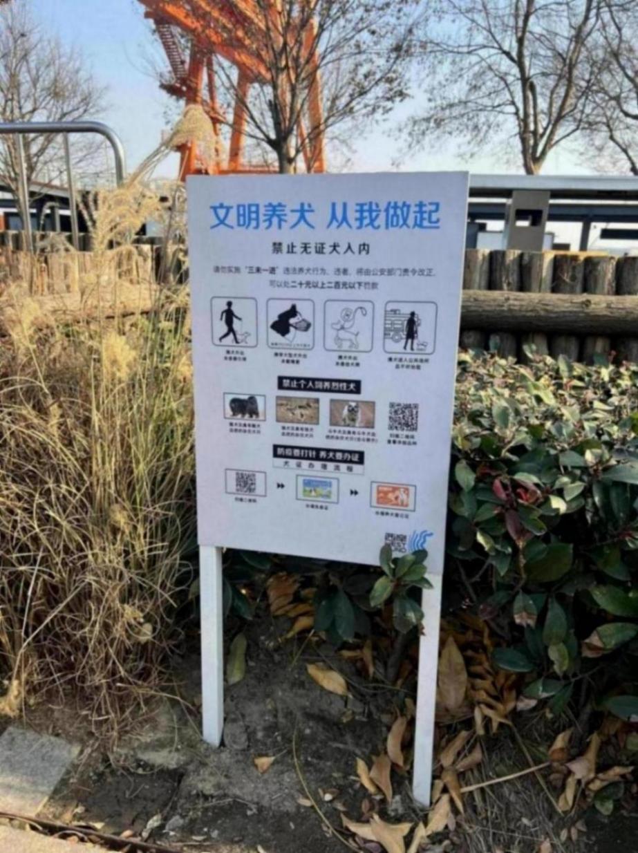 “一江一河”初具寵物友好基礎,將繼續提高濱水公共服務溫度