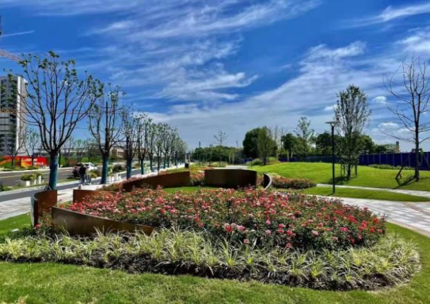 古城現新韻、濱河區開放,上海嘉定塑造新地標