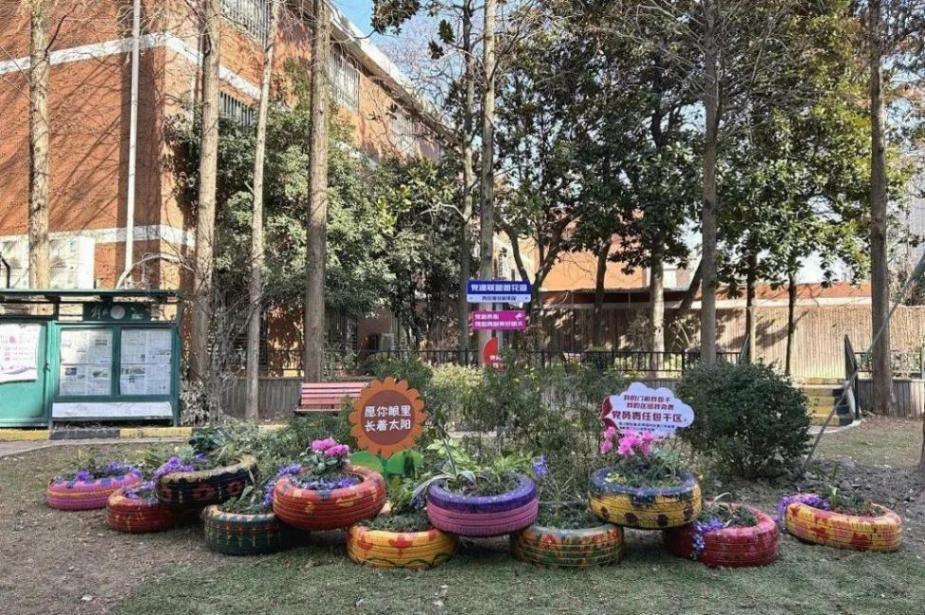 “黨建+網格”!楊浦這個居民區打通基層治理“新脈絡”