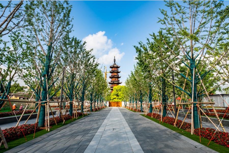 “左手”古韻“右手”科技,千年龍華走出了一條怎樣的煥新路徑?