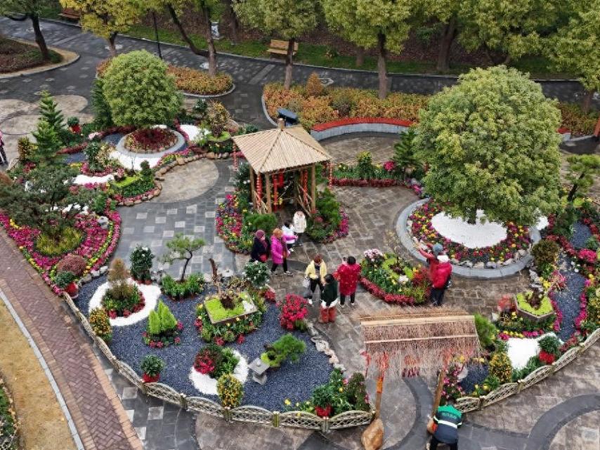 蠟梅“想開”+雨滴“助陣”=這屆蠟梅展也太美了