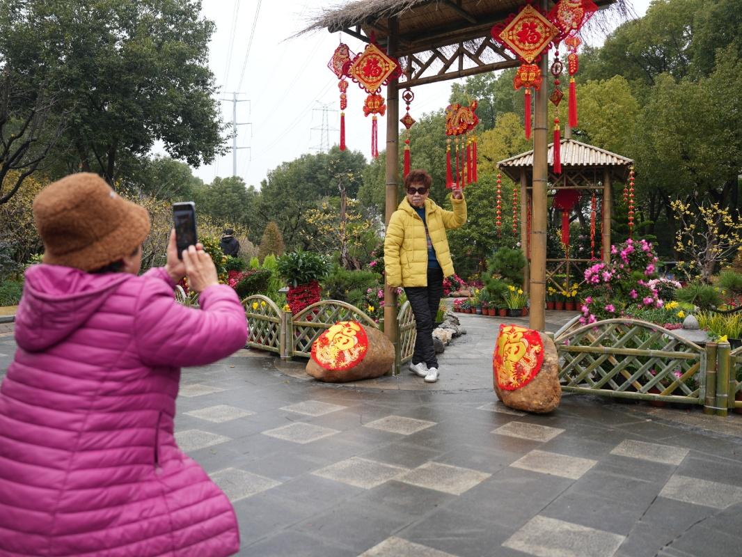 蠟梅“想開”+雨滴“助陣”=這屆蠟梅展也太美了