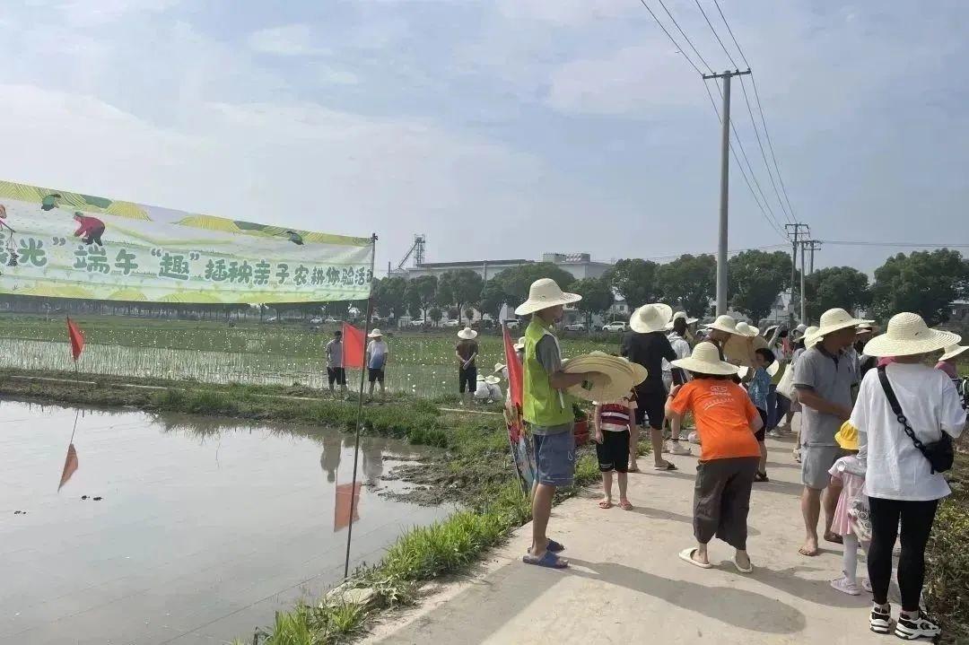 來金山走這條路線,帶你體驗鄉村“農+樂”