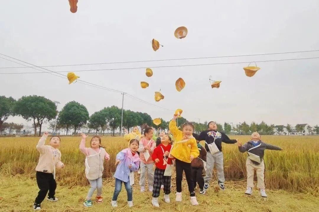 來金山走這條路線,帶你體驗鄉村“農+樂”