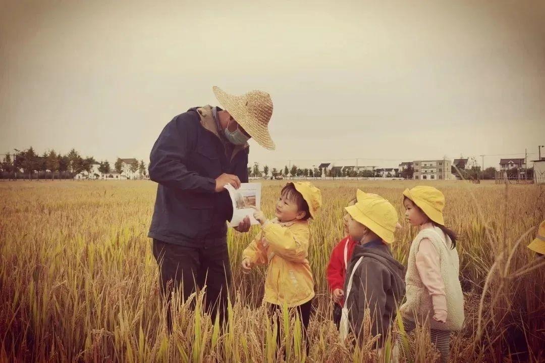來金山走這條路線,帶你體驗鄉村“農+樂”