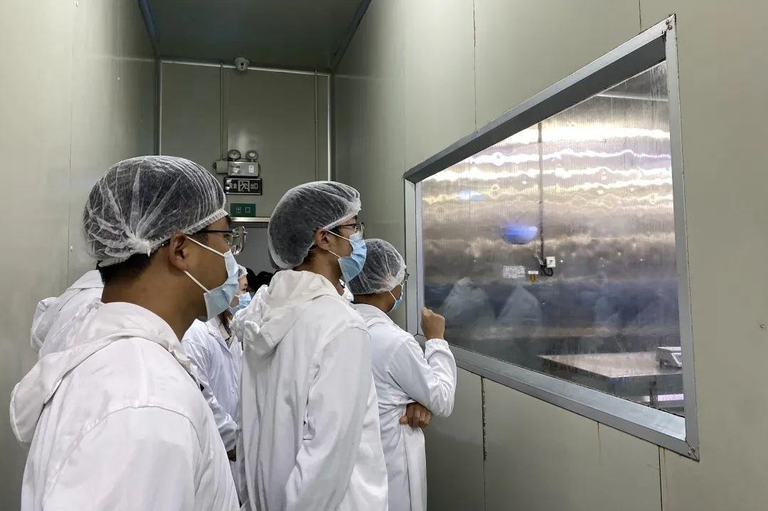 來金山走這條路線,帶你體驗鄉村“農+樂”