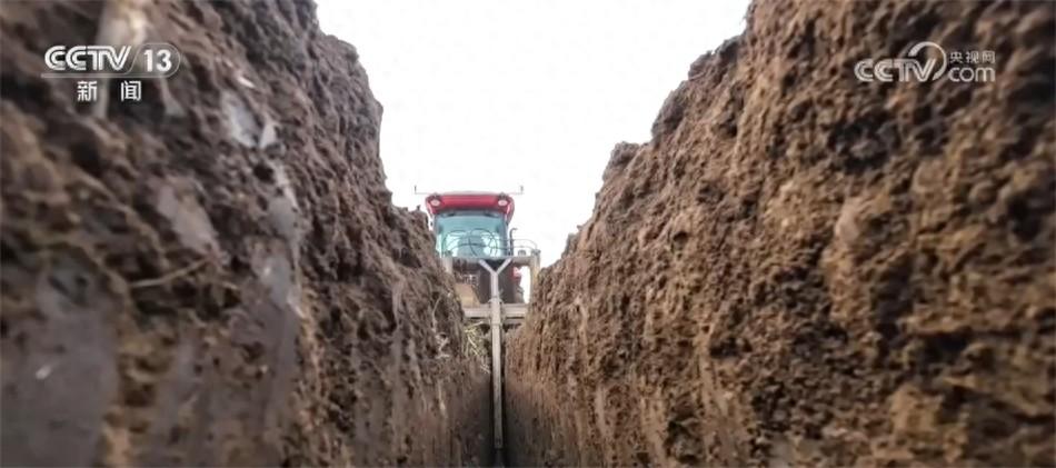 高標準、新模式、巧育種 各地多舉措助增收繪出“新豐景”