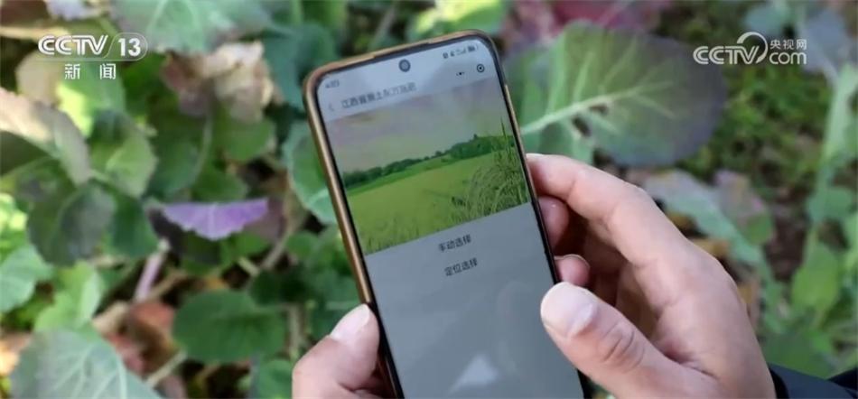 高標準、新模式、巧育種 各地多舉措助增收繪出“新豐景”