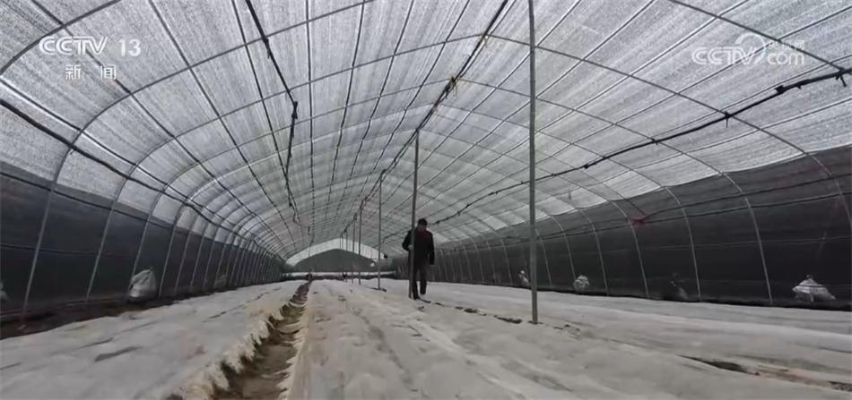 高標準、新模式、巧育種 各地多舉措助增收繪出“新豐景”