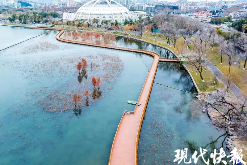 沉浸式體驗山水城林,南京玄武湖太平門賞荷棧道正式開放
