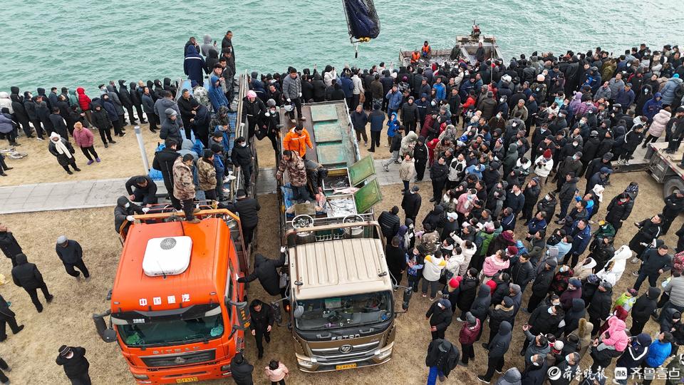真有大魚!茌平金牛湖冬捕把過年氣氛拉滿