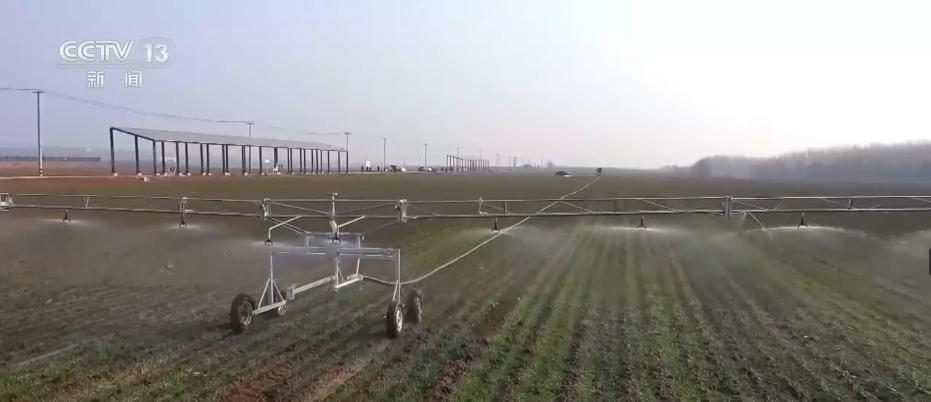 62項專利技術!“地方小吃”變身鄉村振興特色支柱產業