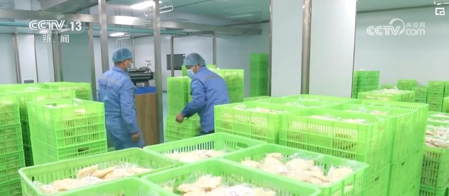 62項專利技術!“地方小吃”變身鄉村振興特色支柱產業