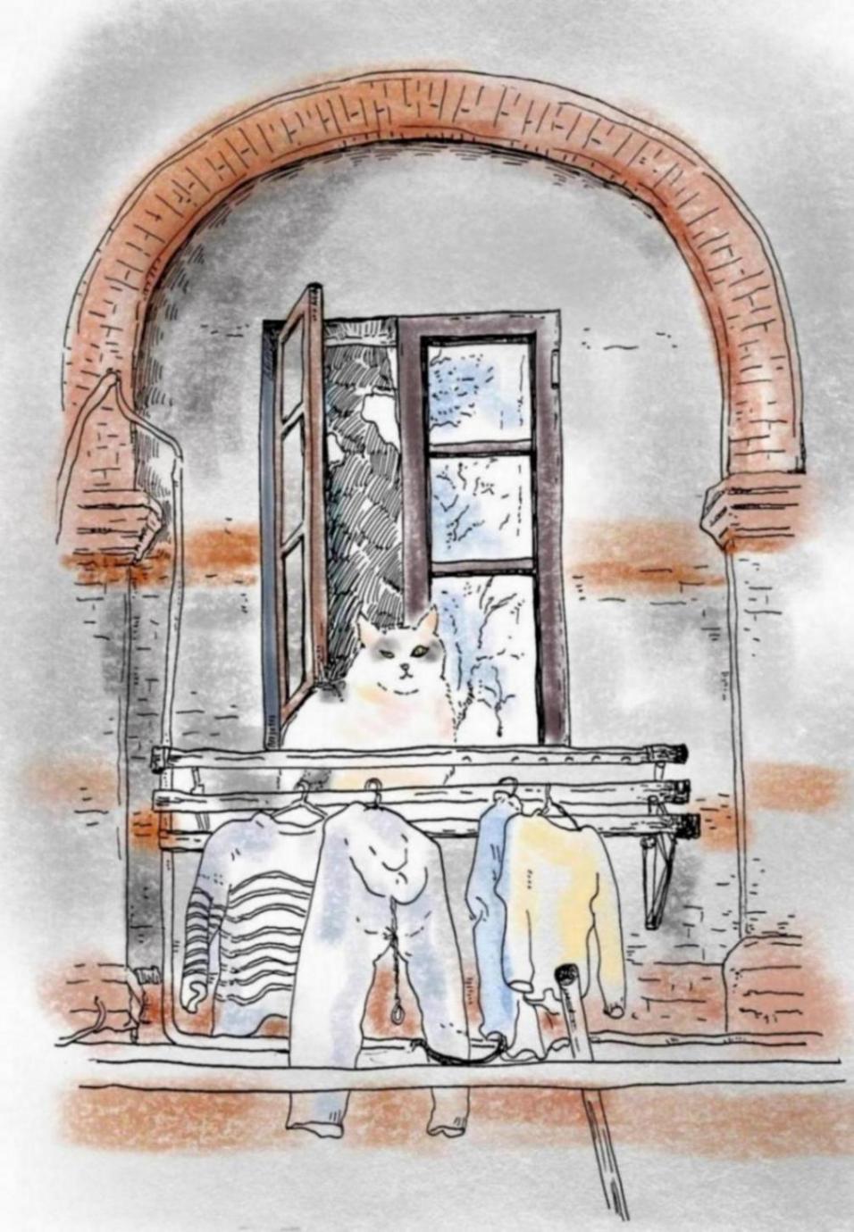 舊貌換新顏的沿街“紅房子”,滿眼都是風情