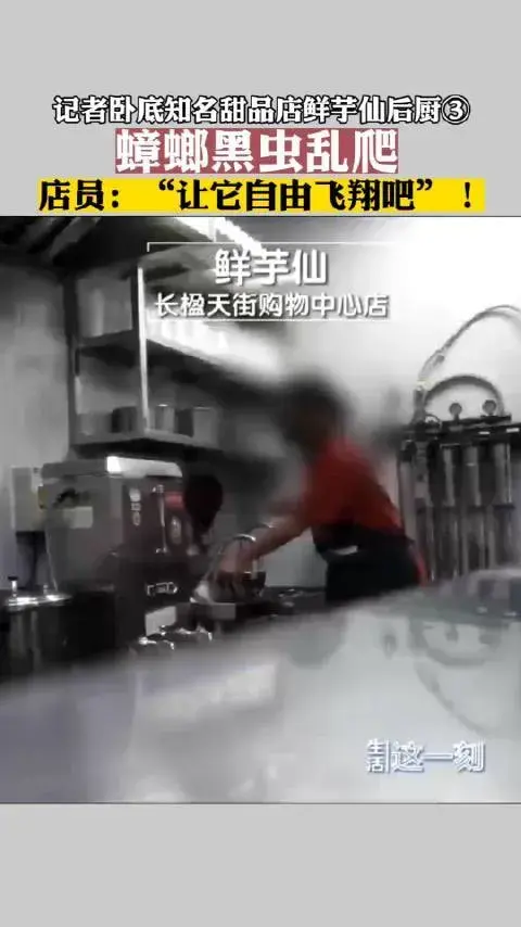 記者臥底鮮芋仙:后廚蟲子自由飛翔