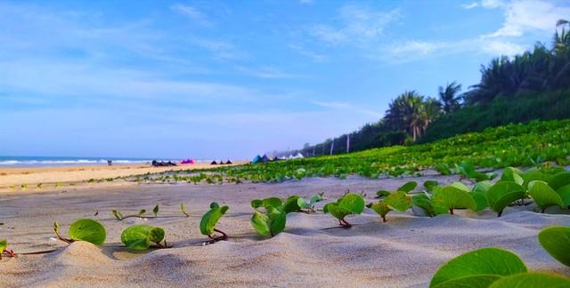 理想與現實之間到底有多少差距?看完你就知道了