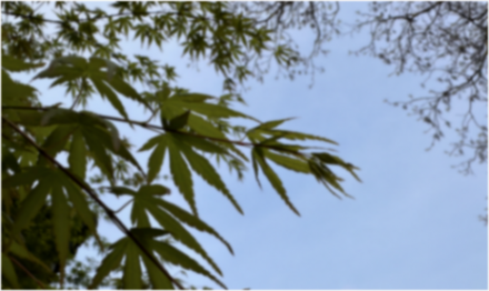 本田中國發(fā)布電動(dòng)品牌“燁”,網(wǎng)友:本田真的懂中國嗎? ▲圖片來源:車聚網(wǎng)