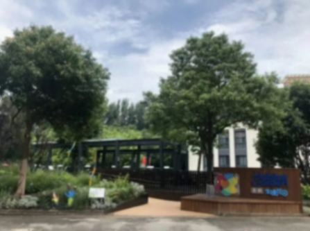 從“全市首個”到“全球典型”,上海長寧的生境密碼是什么?