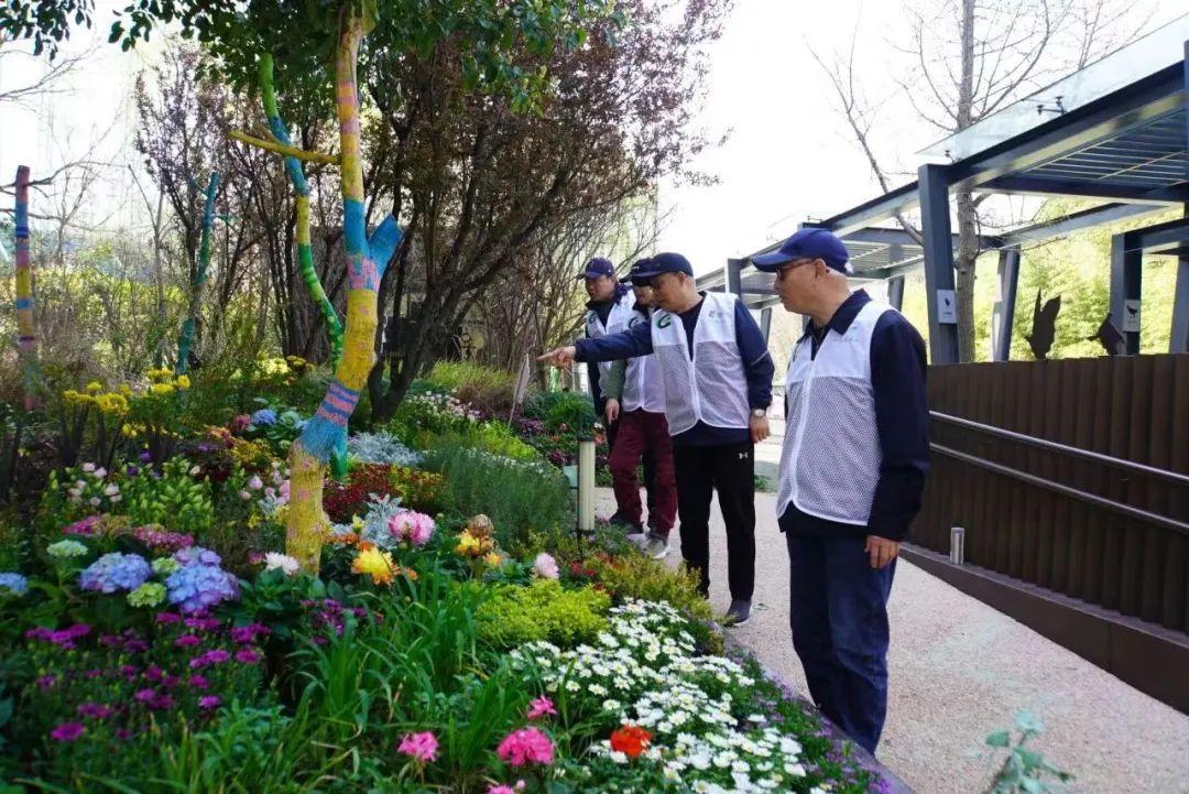 從“全市首個”到“全球典型”,上海長寧的生境密碼是什么?