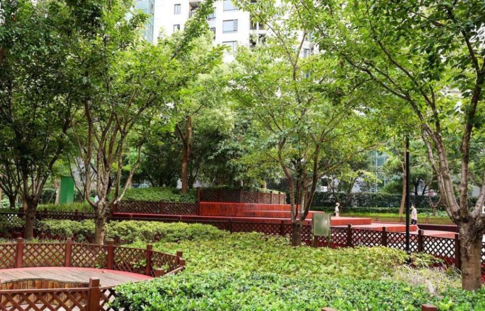 從“全市首個”到“全球典型”,上海長寧的生境密碼是什么?