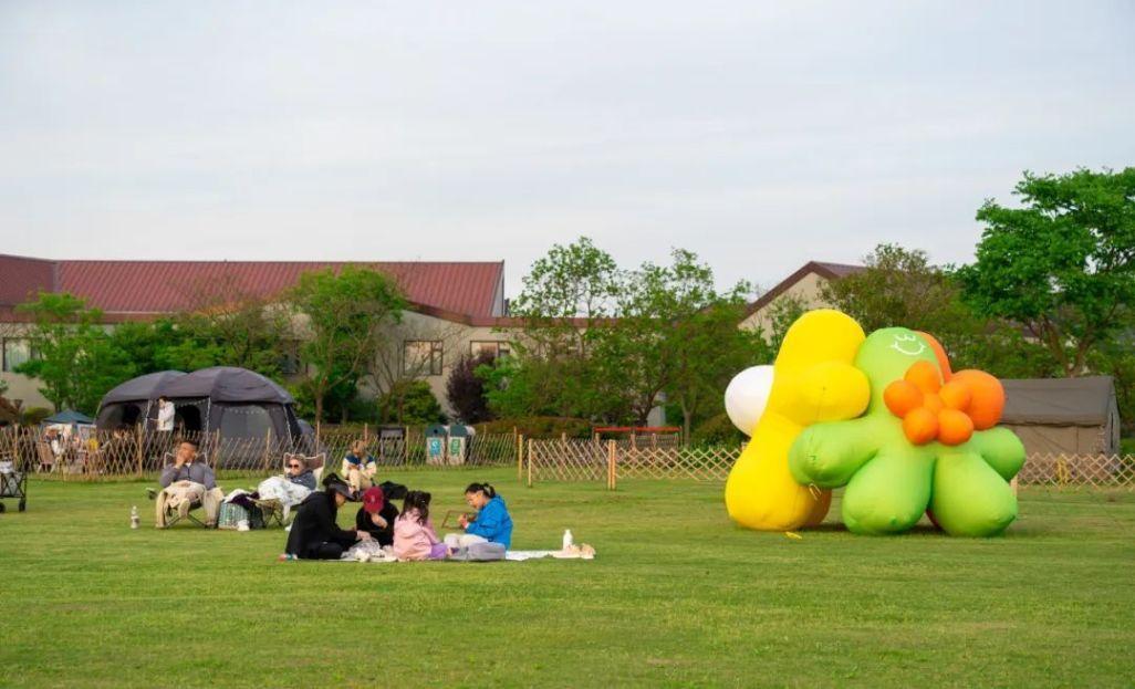 百畝紫色花海即將迎來顏值巔峰,“2024上海薰衣草節”火熱進行中