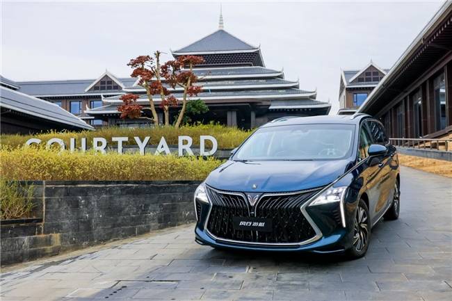 風行游艇:寶媽遛娃的快樂源泉,萬元補貼享無憂旅程!