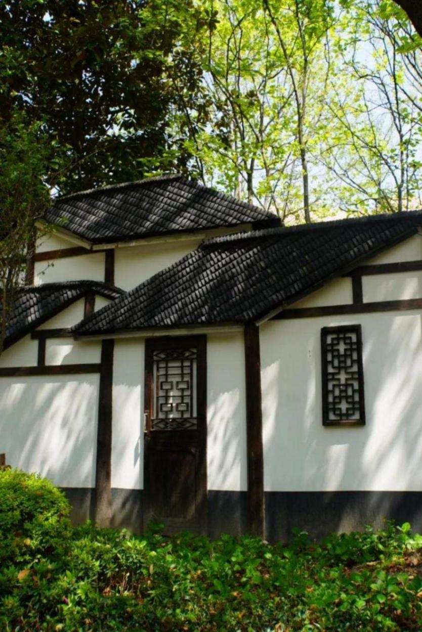 生態(tài)、水綠、便捷,一幅宜居社區(qū)圖景正在上海新涇鎮(zhèn)徐徐展開