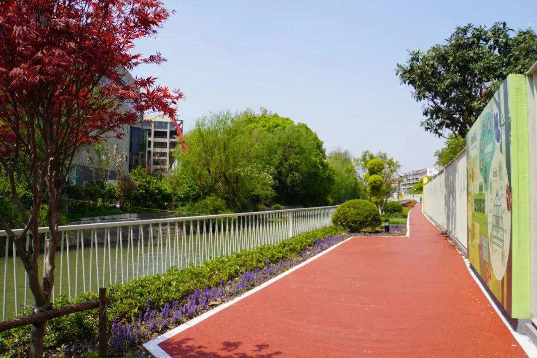 生態(tài)、水綠、便捷,一幅宜居社區(qū)圖景正在上海新涇鎮(zhèn)徐徐展開