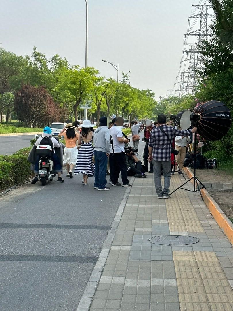 行人為拍奧森外千米薔薇花墻上行車道,賞花別給交通“添堵”