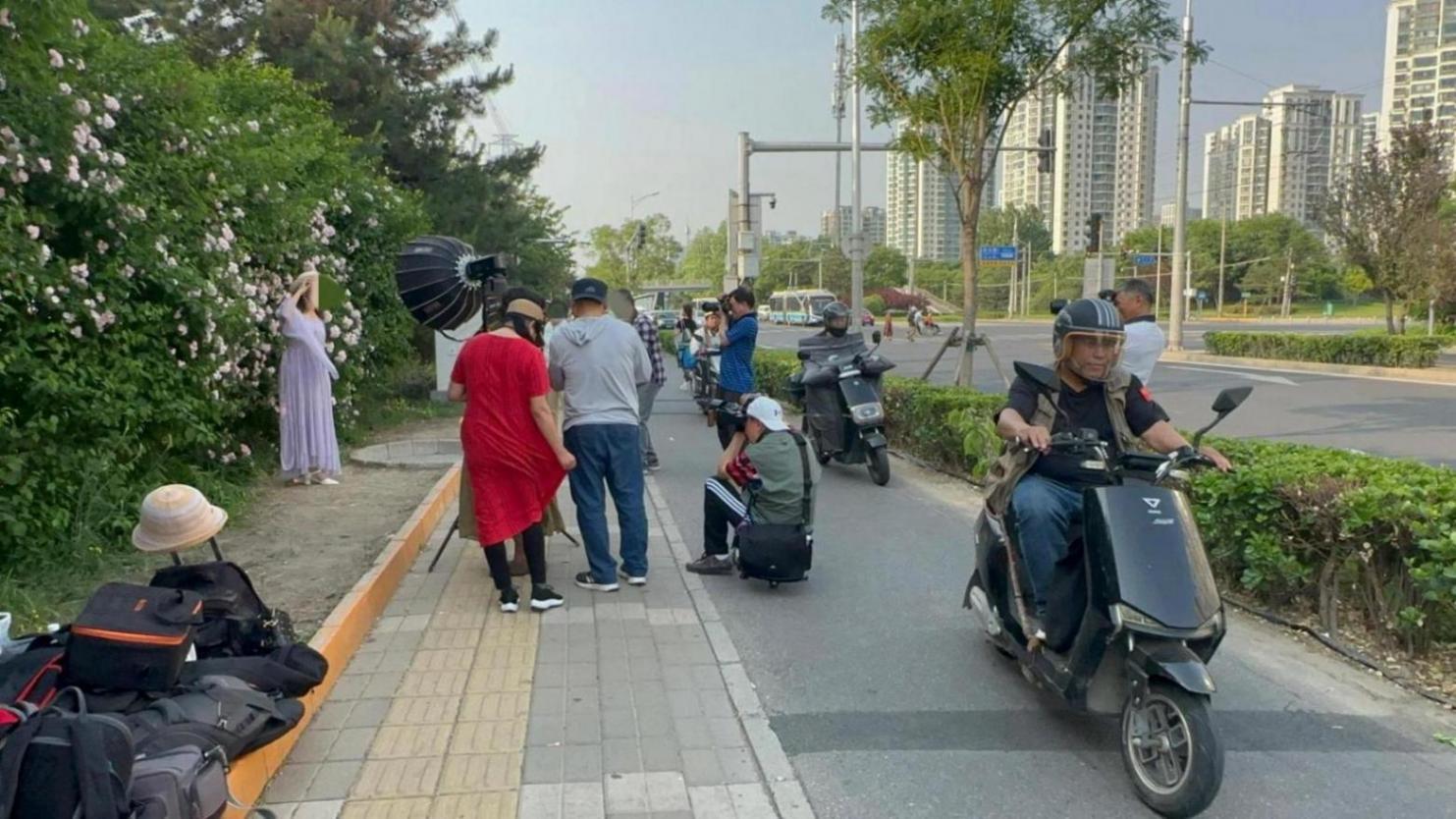 行人為拍奧森外千米薔薇花墻上行車道,賞花別給交通“添堵”