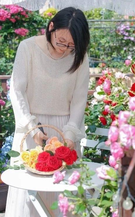 月季、鐵線蓮、繡球花……金山這里以花為“媒”,繁花似錦!