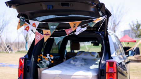 ES9家用無憂之選,更有2萬補貼和5成首付2年0月供0利息