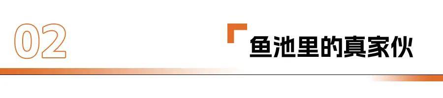 比亞迪,下手越來越狠了?