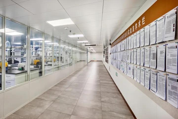 95后女生,憑什么進浙大享受教授待遇?