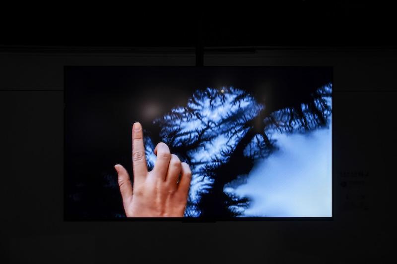 “影像年鑒”視野里的他山之石與長三角影像