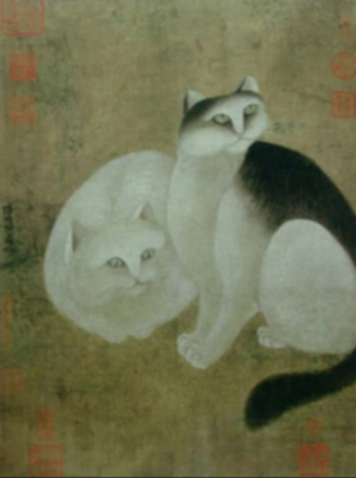 銜蟬毛色白勝酥——品種、角色、貓市