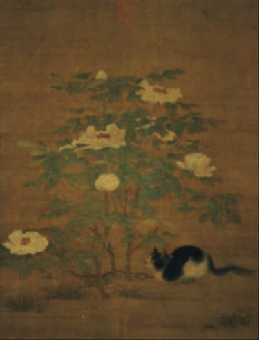 銜蟬毛色白勝酥——品種、角色、貓市