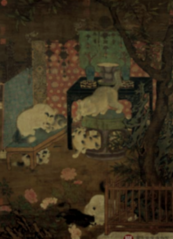 銜蟬毛色白勝酥——品種、角色、貓市