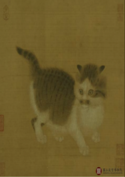 銜蟬毛色白勝酥——品種、角色、貓市