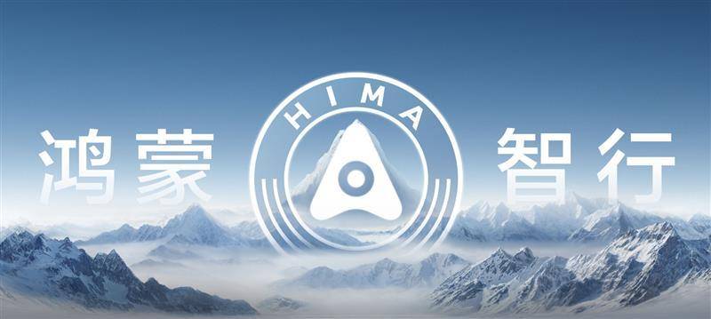 極越汽車,戴著鐐銬起舞