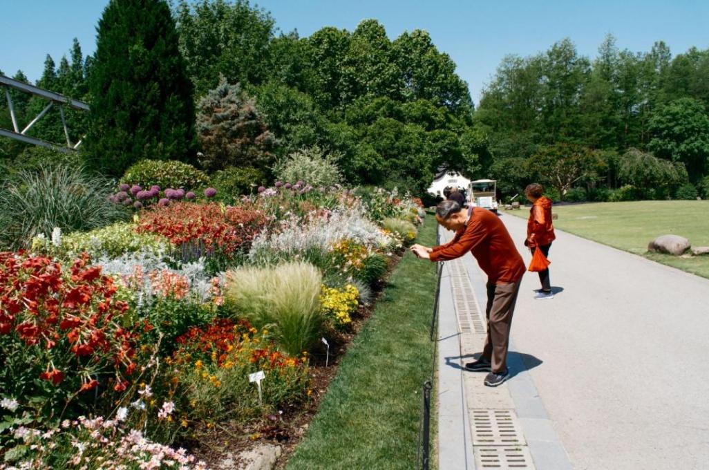 夢幻啟幕,鳶尾蝶喚醒城市浪漫