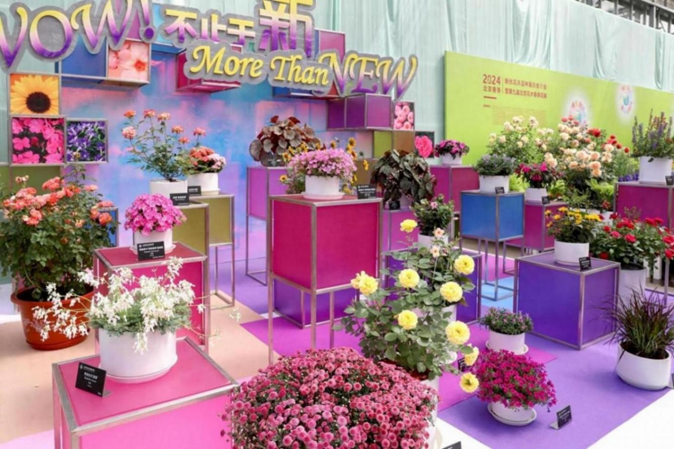 北京舉辦春季花展,19個新品首發(fā)亮相