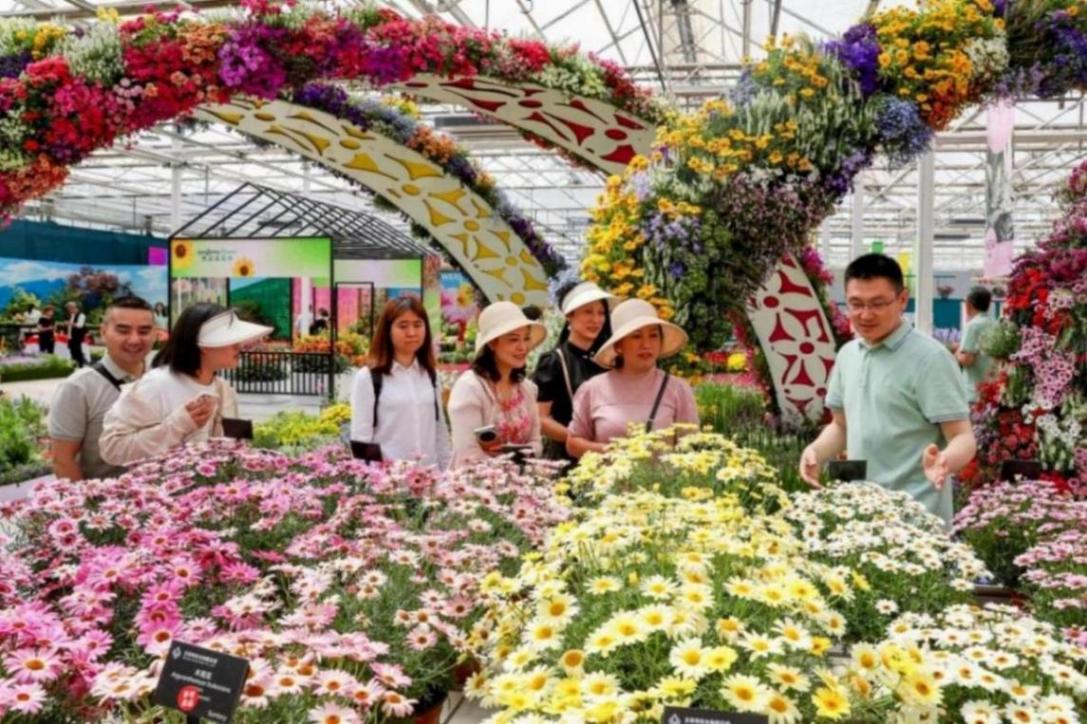 北京舉辦春季花展,19個新品首發(fā)亮相