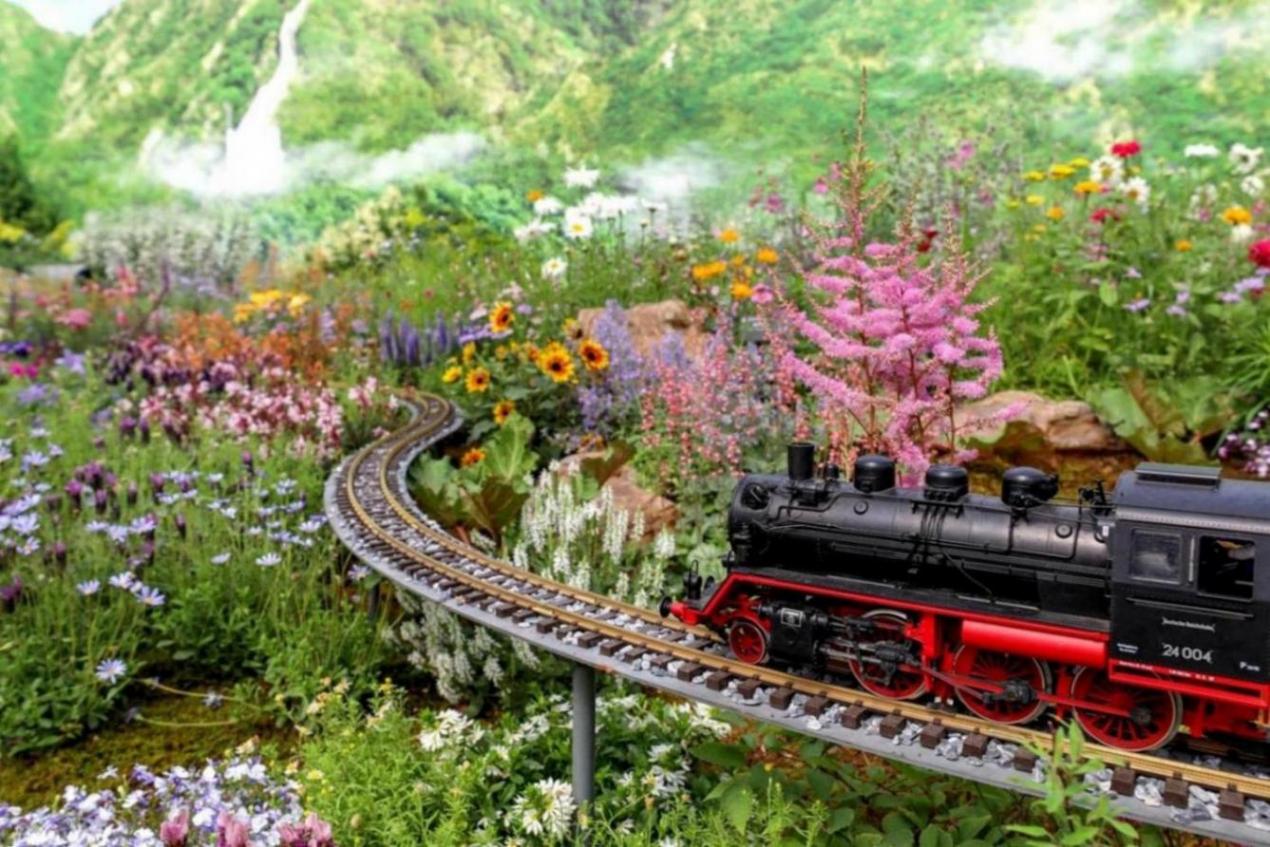 北京舉辦春季花展,19個新品首發(fā)亮相