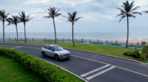 520為愛啟航:寶藏歌手‘樹哥’郭有才與奔騰T90的浪漫邂逅