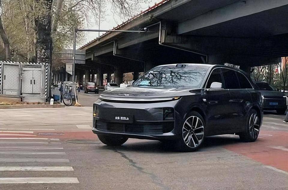 銷量仍是第一的理想汽車,業績已經大幅滑坡