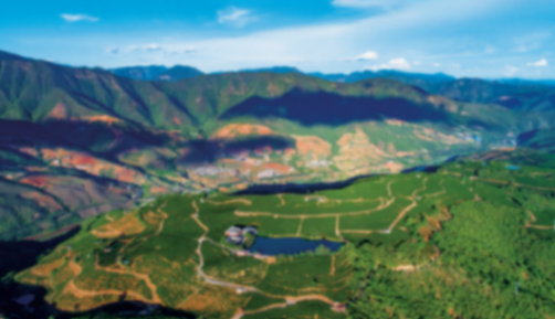 拼多多亮眼業績背后:“內生價值”如何驅動電商發展